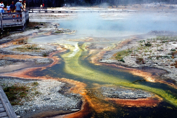 20000801   Yellowstone 053